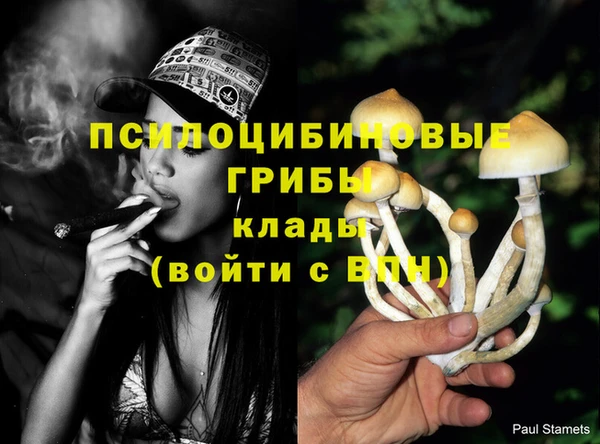 PSILOCYBIN Алексеевка