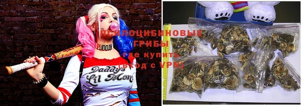 дмт Алзамай