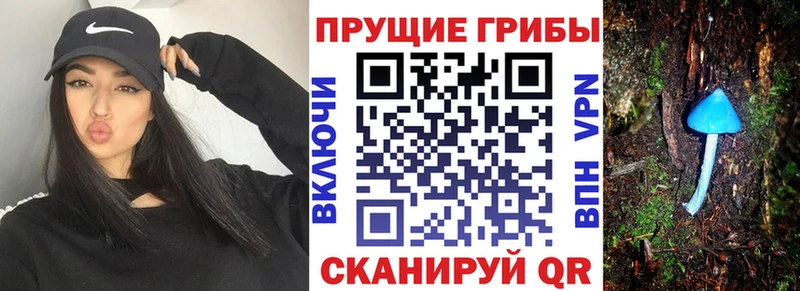 Псилоцибиновые грибы Magic Shrooms  Амурск 